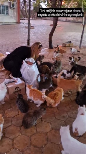 2.6K views · 218 reactions | Bunca canı yerinden edip daglara attınız...