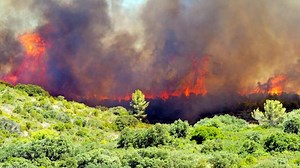 Incendie en France: ce que l’on sait du pompier pyromane de l’Hérault