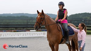 8K views · 411 reactions | Let's explore the "whys" behind good riding anatomy. At our most basic anatomy, the skeleton, we are surprisingly similar to our horses. Seeing those similarities helps us understand why good alignment is so important and why it supports good movement. It also shows us why our riding position directly impacts the balance and position of the horse. Learning the "whys" behind these connections can help both you and your horse move better. | HorseClass | Facebook