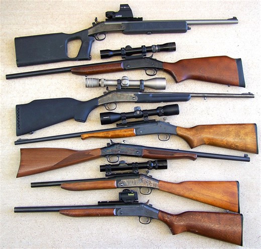 H&R Handi-Rifles. Simple is good.