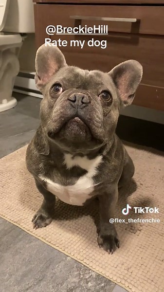 Understanding Hobknocker: Definition and Insights