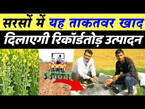 सरसों की खेती कैसे करें | sarso ki kheti karne ka tarika | sarso ki kheti kab aur kaise kare
