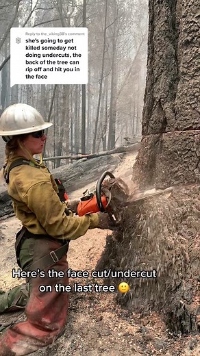 Approaching Fire Weakened Timber: Techniques and Safety Measures