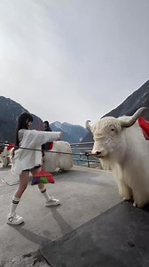 6.2M views · 172K reactions | 不敢睁开眼～ #失眠熊 #二次元 #甜妹 | Setup Cosplayer | Facebook