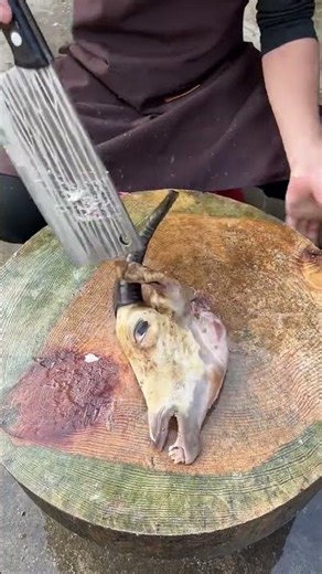 Goat Head Cutting Tutorial for Learners 1134 #knifeskills #butcher #goat #shorts