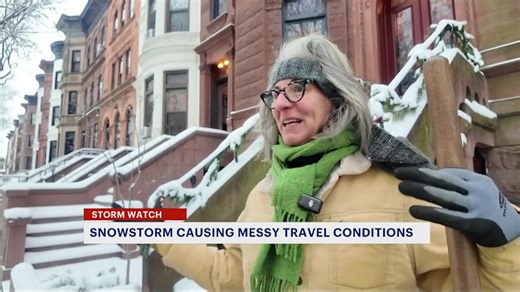 Snowfall brings winter wonderland to Prospect Heights
