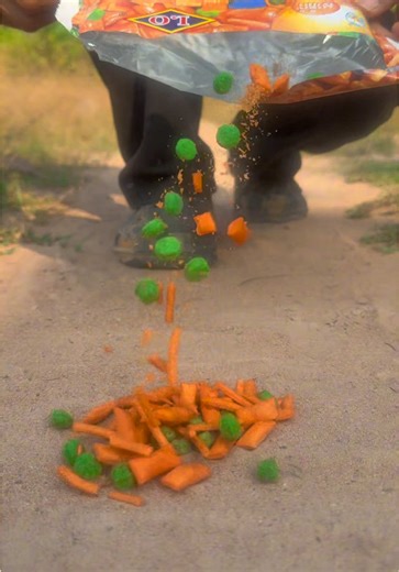 Essential Survival Skills in the Forest