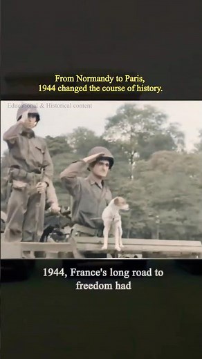 The Liberation of France (1944) | From Normandy to Paris #history #ww2rebuilder #ww2 #military