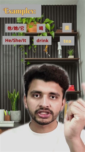 Basic Chinese Sentence Structure in 30 sec | For Beginners | Chinese Grammar | Hsk Tests | Nerds Hao