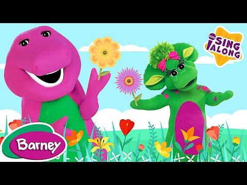 What Makes A Flower So Pretty? | Barney Nursery Rhymes and Kids Songs