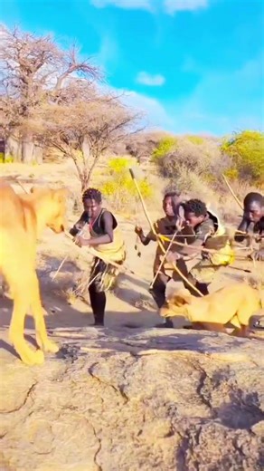 Primitive Bow Hunting in the Wild | Tribal Survival Skills #triballife #primitivelife #africa #short