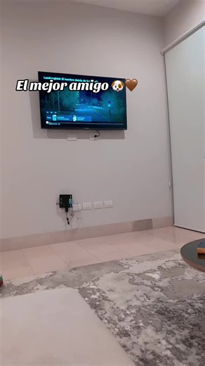 El mejor amigo: Timmy y sus aventuras