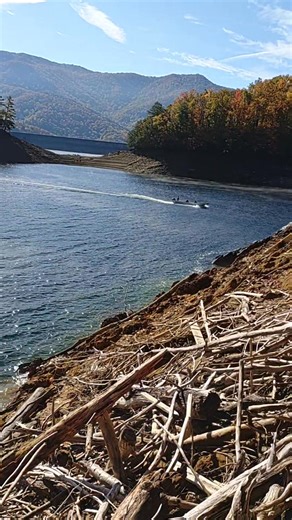 Jason Watkins on Reels