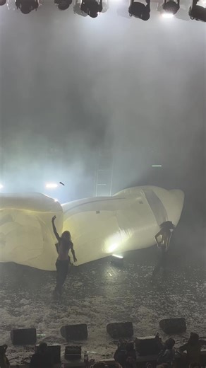 Understanding Tiger Sharks: Fascinating Facts