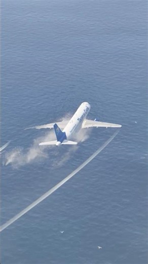 Plane Engine Fire Leads to Unreal Water Landing Under Bridge