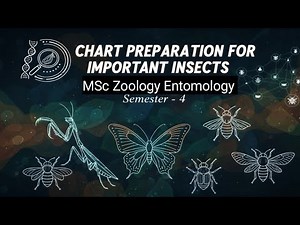 Chart Preparation of Important Insects |Classification & Economic Importance"/MSc Zoology/Entomology