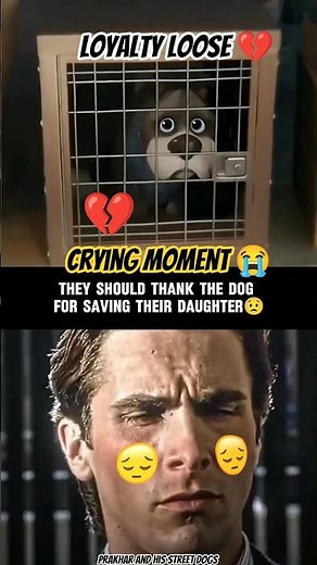 Dog heart broken Moment💔 [DOG-CRYING]😭 #crying #heartbroken #sad #emotional #dog #feelings #painful