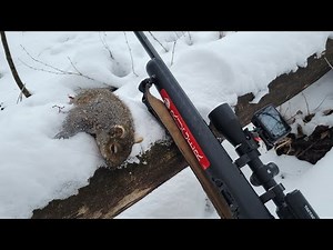 Extreme Cold Winter Squirrel Hunting