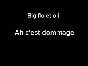 Big flo et oli (ah c'est dommage) parole