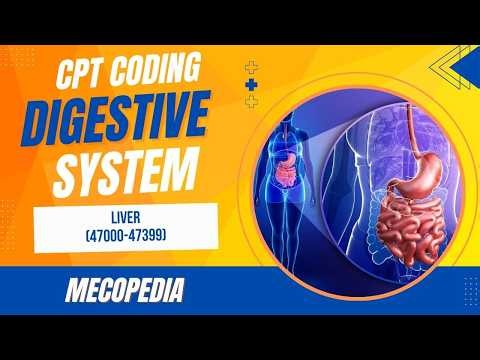 16. Digestive System (40490-49999) I Liver (47000-47399) I