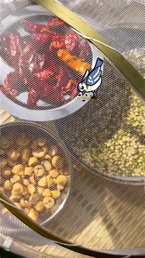 Food protector Net #net #masterchef2026 #youtubeshorts