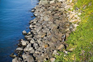 Why You Should Never Let Browsers Resize Your Photos