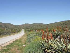 R330 road (South Africa) - Alchetron, the free social encyclopedia