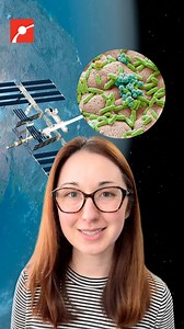 Could bacteria be thriving in space? 🦠 Astronauts recently took samples from the outside of the International Space Station to study how microbes handle space’s extreme conditions. The results could reshape what we know about survival beyond Earth! #Space #Science #SpaceExploration | Museum of Science, Boston