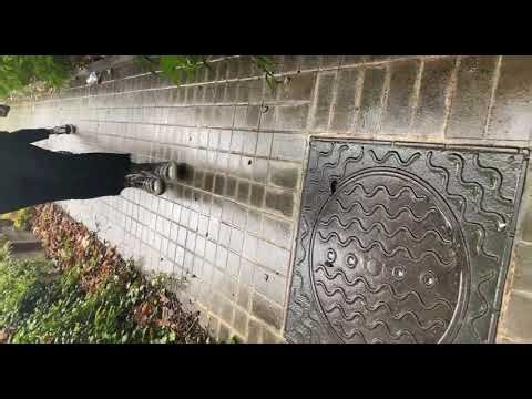 Two French girls in Vans and Converse and snails