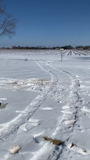 Baseball boys do it better! Louisiana snow! #baseballboyshitdifferent #fyp