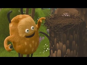 New Bird House | Kiwi & Strit | Cartoons for Kids | WildBrain Little Ones