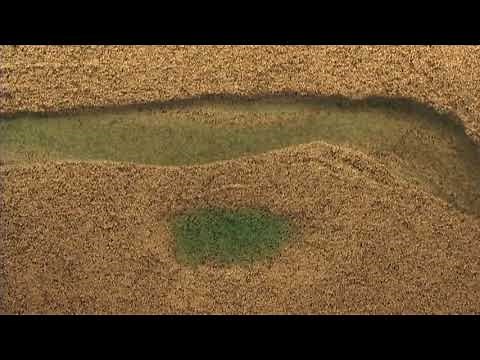 River Geomorphology (16) - Floodplain Wetland Draining Caused Channel Incision