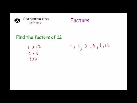 Factors - Primary