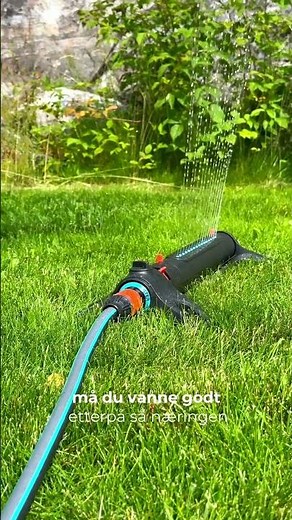 Hvordan få en robust plen med vanning og gjødsling