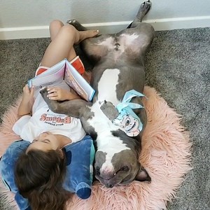 Lebowski always loves when Scarlett reads to him and this morning she had a new book to share with us all ❤ Belly Rubbins For Bubbins has created a children's book based on his true rescue story, it is so touching with adorable illustrations! Also, a great way to hopefully inspire and educate others 🐾🐾•51% of all sales will be donated to IPittytheBull Foundation, visit www.bellyrubbinsforbubbins.com! Post a picture of your rescue dog and tell their story for the Bubbins Book Challenge! #bubbin