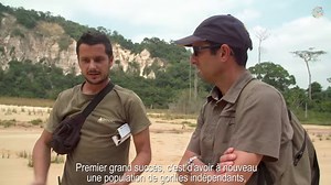 169K views · 2.6K reactions | #ReintroGorilles... en video ! 轢 Vivez en vidéo la réintroduction de Mayombé et Kuimba, 2 femelles gorilles nées au ZooParc de Beauval. Au cœur de paysages à couper le souffle, partagez avec notre équipe leurs inquiétudes, leurs angoisses mais aussi les grands moments de joie, du départ du zoo aux premiers pas sur l'île de relâcher ! (Alors vos impressions ? ☺) | Zoo de Beauval | Facebook