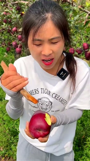 Agriculture# Huaniu Apples