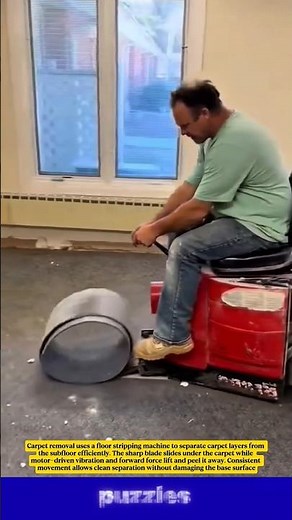 Carpet Removal Process | Fast Floor Stripping Machine at Work!😯