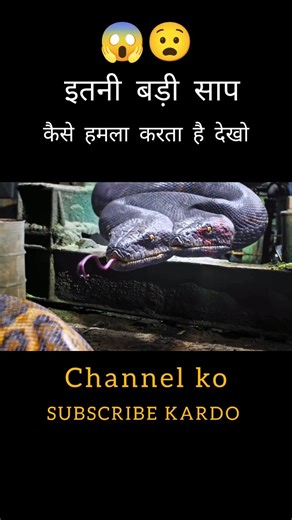 😱 itni bada sap #movieexplain #shorts #hollywoodmovieexplainedinhindi