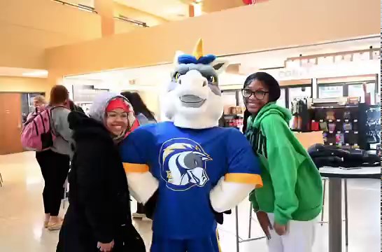 Introducing… 🥁 Bolt! | Briar Cliff University