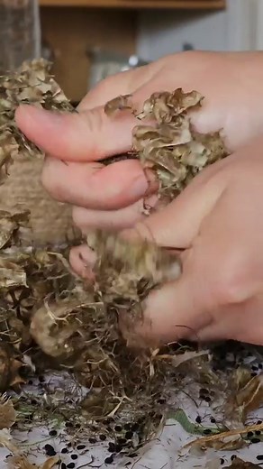 39K views · 8.8K reactions | Me revoilà Alors attention dans mon...