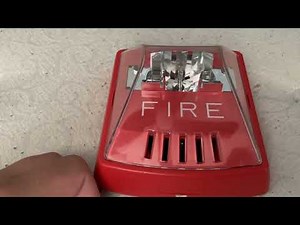 Wheelock HSR (Exceder) code 3