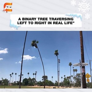 12 reactions | When a binary tree doesn't know which node to visit - left or right! Share this with your friends for a good laugh #RelatableMemes #RelatableThings #BinaryTree | Coding Ninjas | Facebook