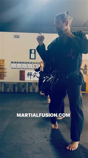 Martial Fusion Striking Drills Atemi Waza