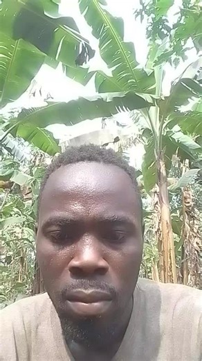 suvie (@ssemwogererefran8)’s videos with original sound - suvie