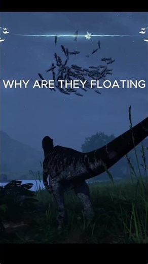 Why Are the Fish Flying?
