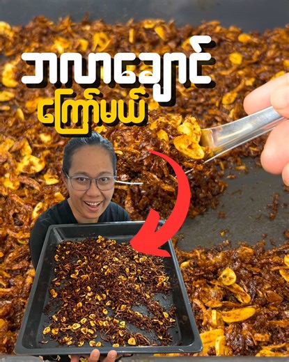 Delicious Burmese Spicy Dried Shrimp Fry Recipe