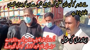 356K views · 10K reactions | نئے فارمر کونسی ایسی, غلطی کرتے ہیں جس سے ان کو بھاری نقصان اٹھانا پڑتا ہے , صرف یہ میری بات نوٹ کرلیں کبھی نقصان نہیں ہوگا What kind of mistakes do new farmers make that cause them huge losses, just note that it will never hurt #New Farmer first mistake #Nai farmer ki pheli Galti #Vacha farming #profitable business | Business talks with MK | Facebook