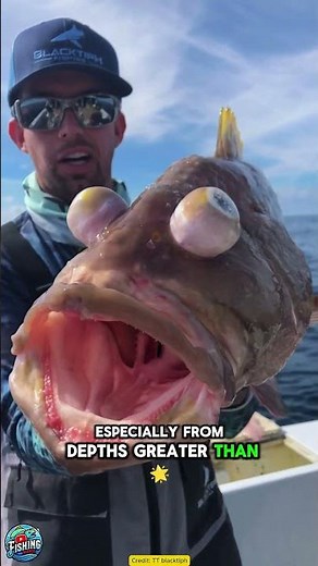 Why This Fish Looks Like It’s About to Explode!