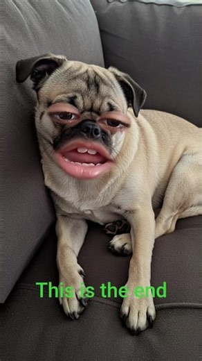 Doge meme #funny #memes 1234